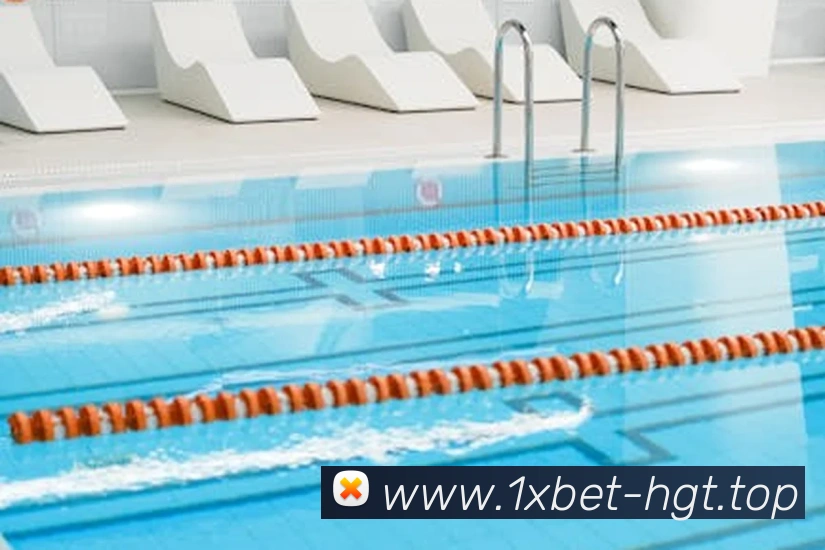 1xbet官网平台生态图